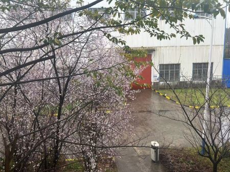 微信圖片_20250325105337