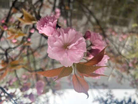 微信圖片_20250402145629