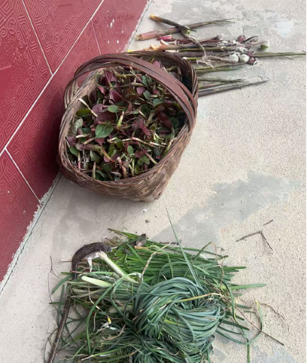 微信圖片_20250423163317 微信圖片_20250423163317