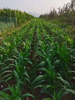 微信圖片_20250821092050_4_505 微信圖片_20250821092050_4_505